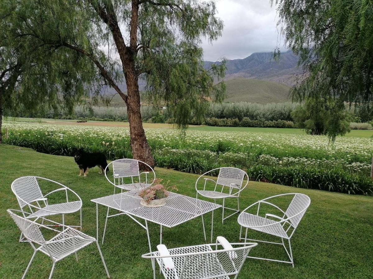 Blue Lily Retreat Bed and Breakfast Matjiesrivier  Exteriör bild