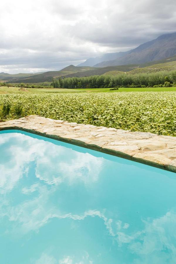 Blue Lily Retreat Bed and Breakfast Matjiesrivier  Exteriör bild