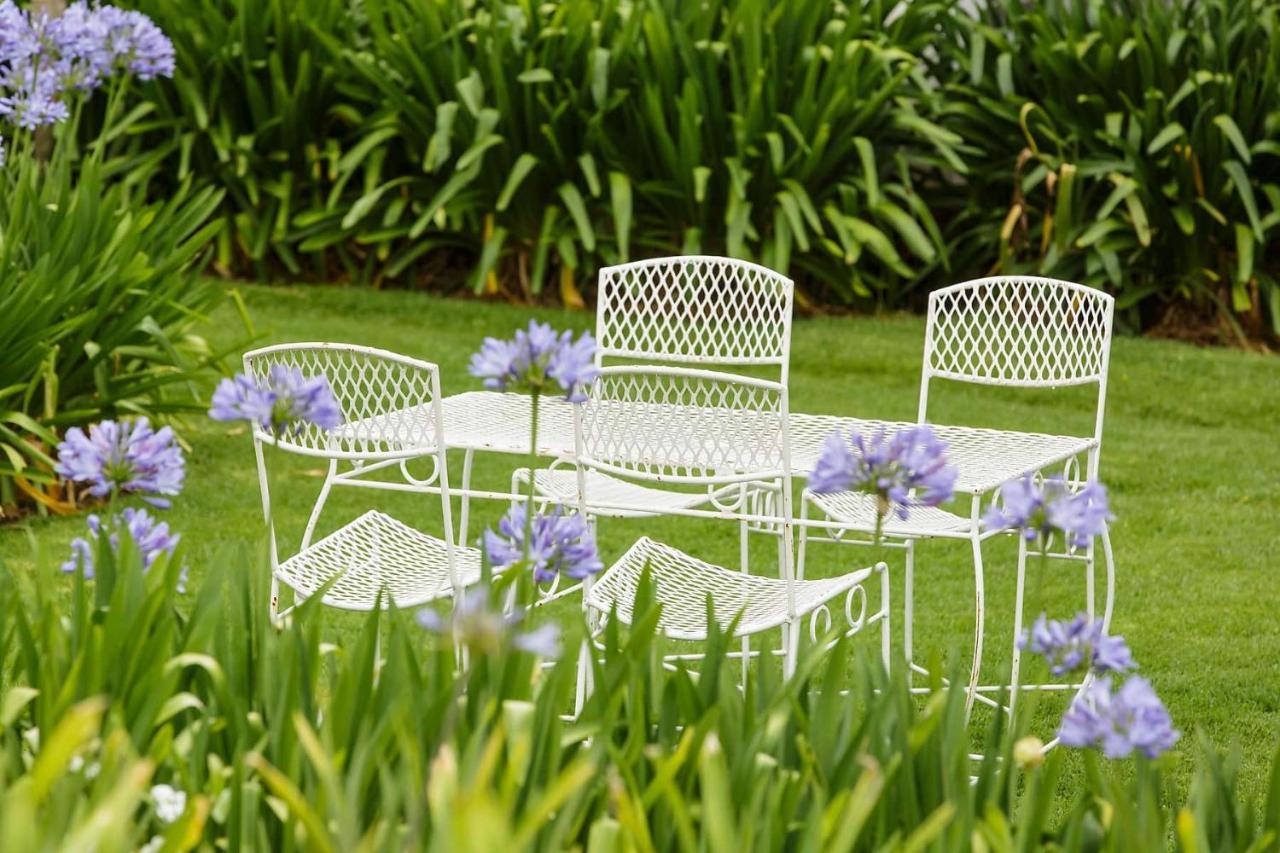 Blue Lily Retreat Bed and Breakfast Matjiesrivier  Exteriör bild