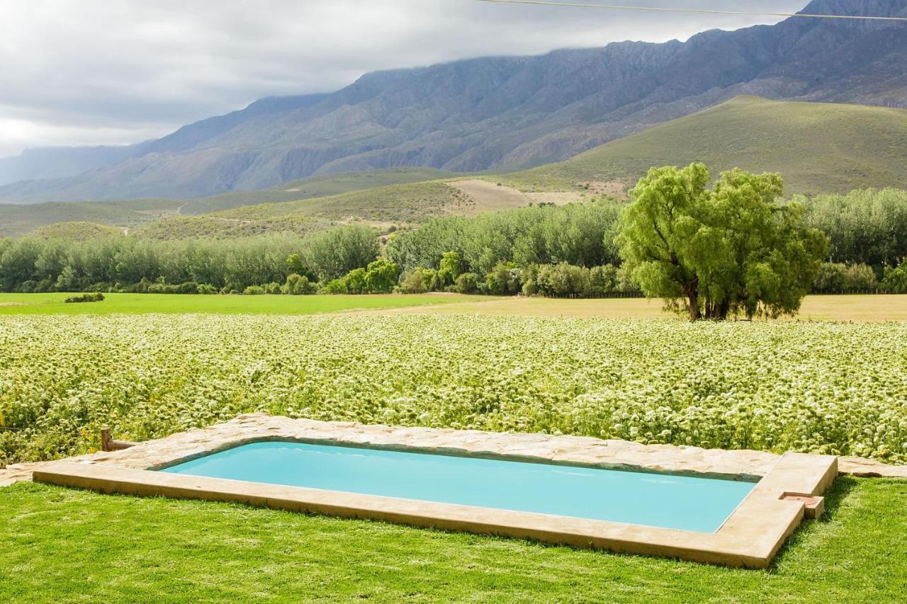 Blue Lily Retreat Bed and Breakfast Matjiesrivier  Exteriör bild