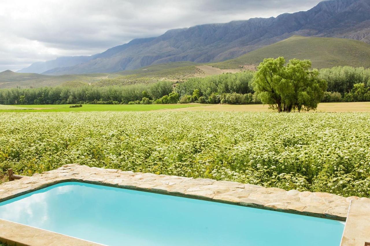 Blue Lily Retreat Bed and Breakfast Matjiesrivier  Exteriör bild