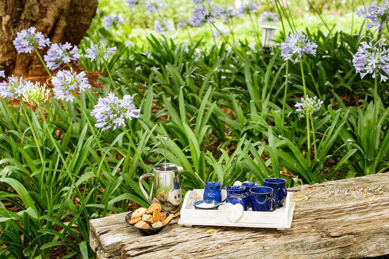 Blue Lily Retreat Bed and Breakfast Matjiesrivier  Exteriör bild