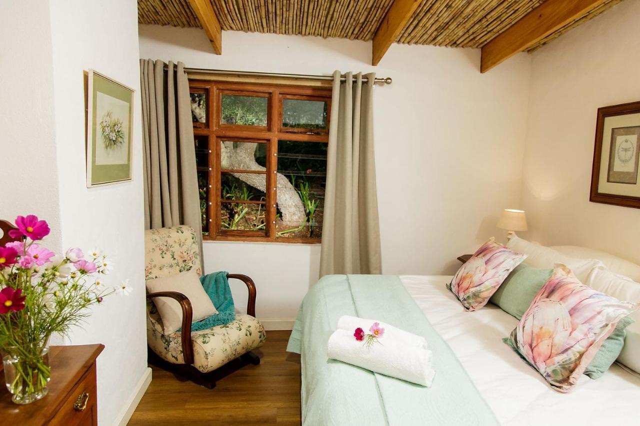 Blue Lily Retreat Bed and Breakfast Matjiesrivier  Exteriör bild