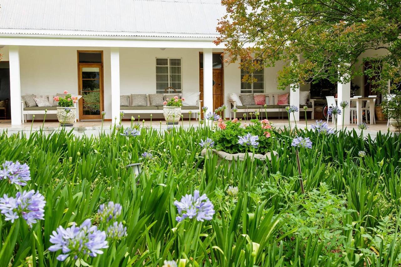 Blue Lily Retreat Bed and Breakfast Matjiesrivier  Exteriör bild