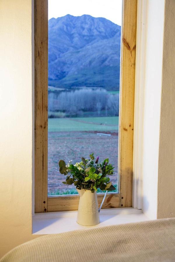 Blue Lily Retreat Bed and Breakfast Matjiesrivier  Exteriör bild