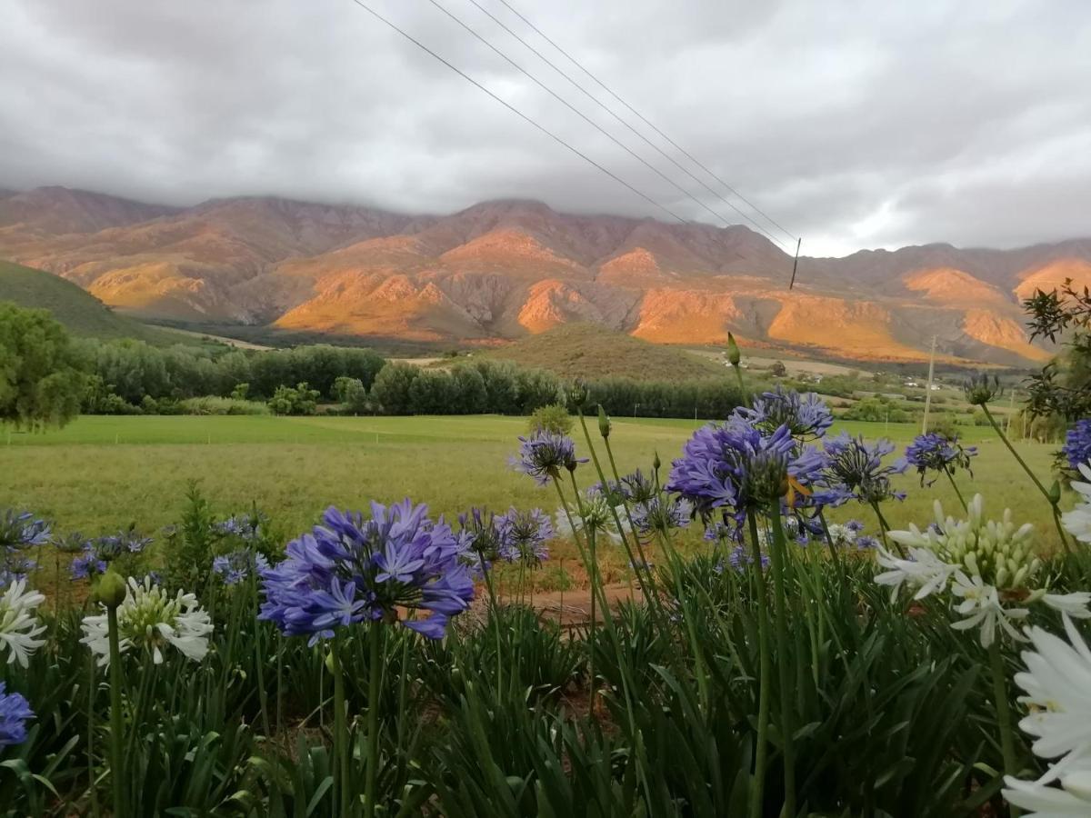 Blue Lily Retreat Bed and Breakfast Matjiesrivier  Exteriör bild